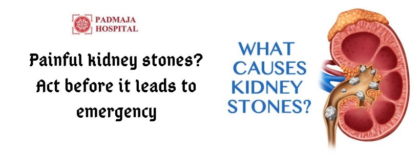 Best Kidney Stone Hospital In Hyderabad