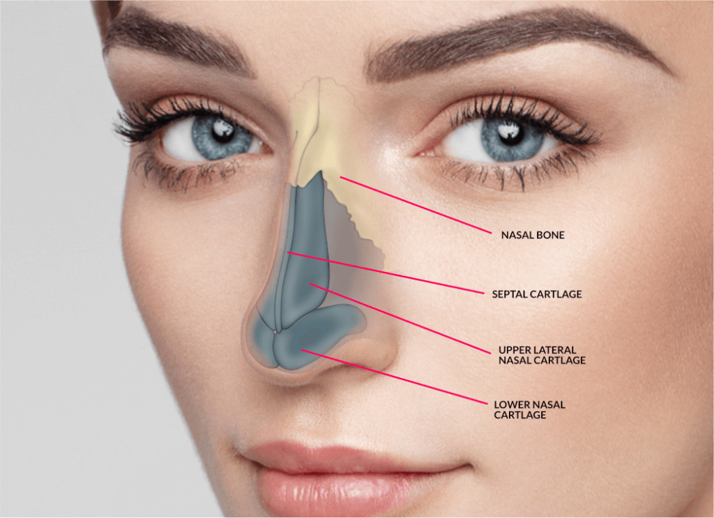 Nose Surgery treatment hospital in hyd Padmaja Hospital